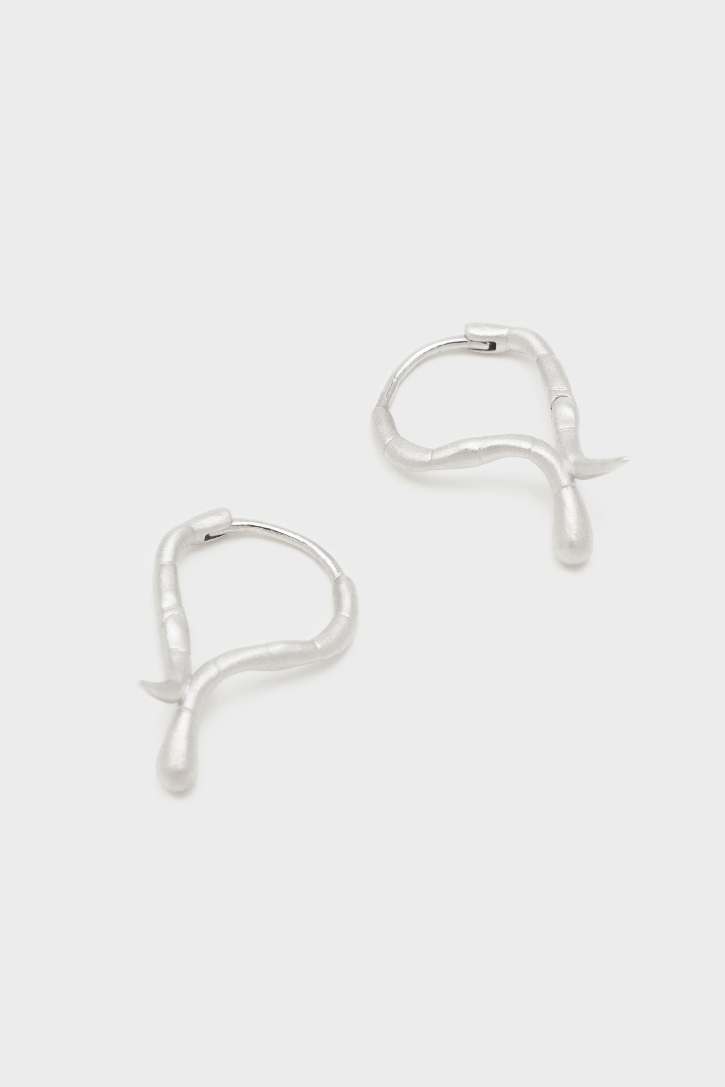 Moray Eel Earrings