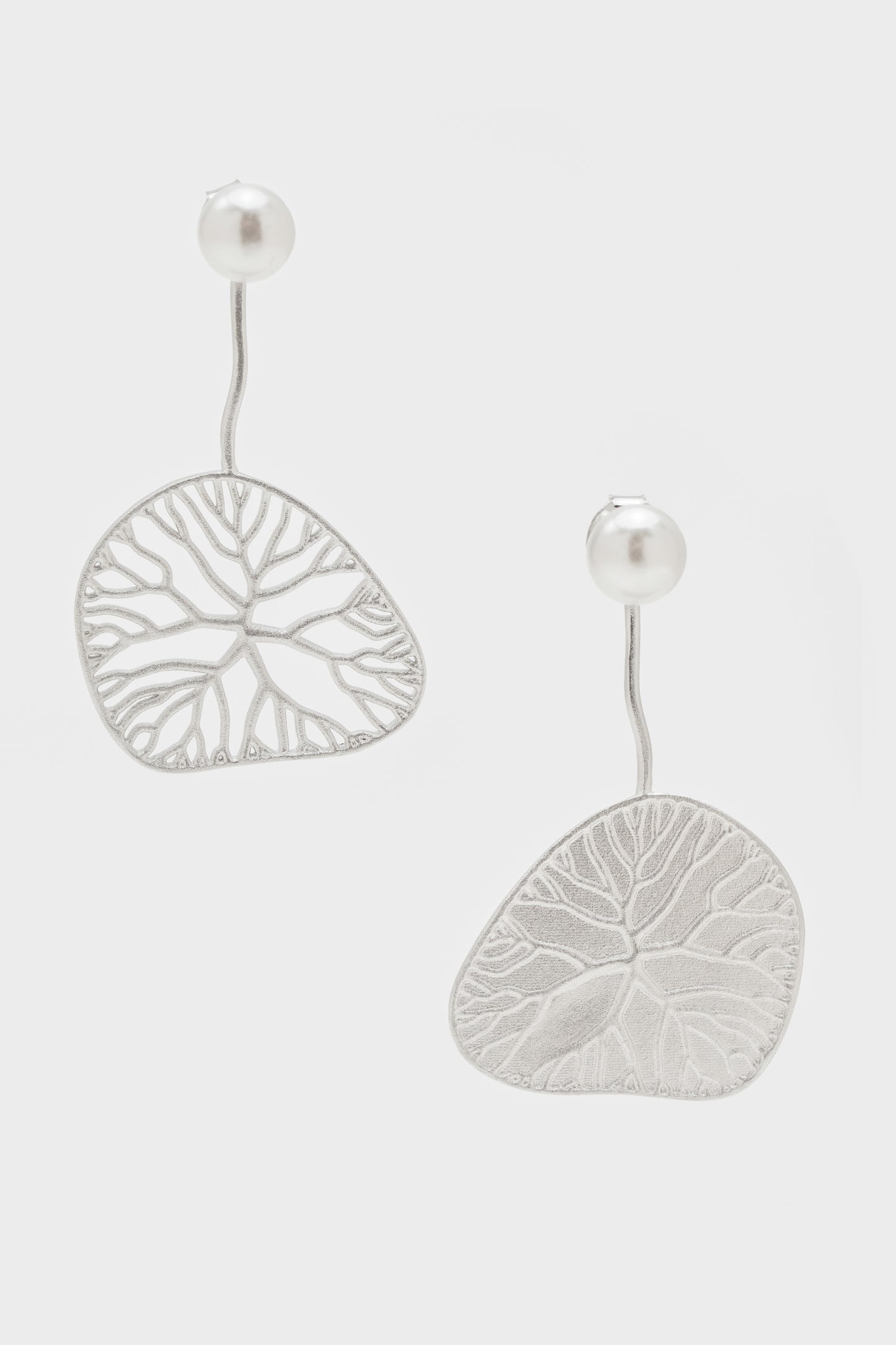 Ocean Fan Earrings